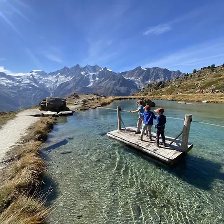 Bettina Wellness Appartement-fewo- Dusche Oder Bad Bettina 3 By Interhome * Saas-Fee